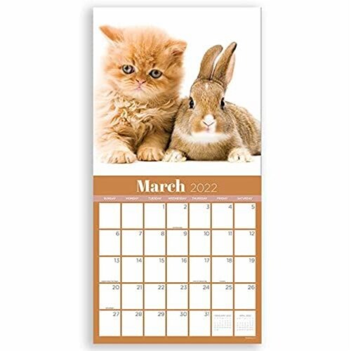 2022 Furry Friends Wall Calendar by TF Publishing Perspective: top