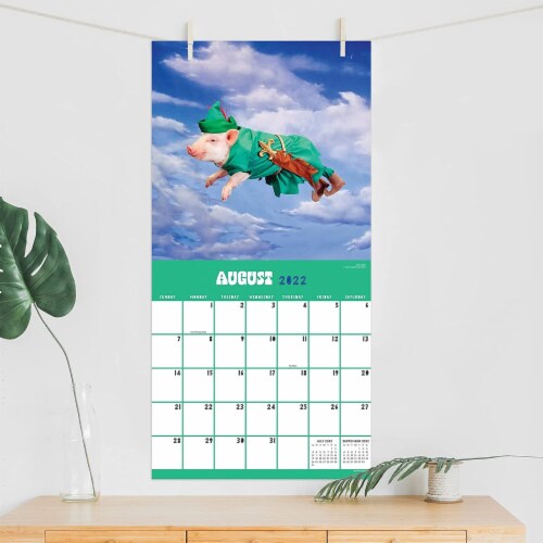 2022 Playful Pigs Wall Calendar by TF Publishing Perspective: top