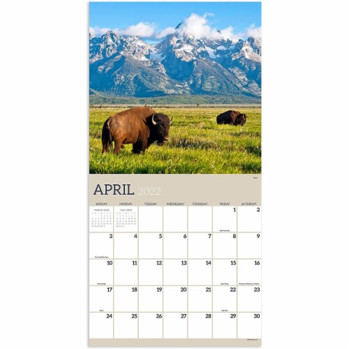 2022 Wild Wall Calendar by TF Publishing Perspective: top