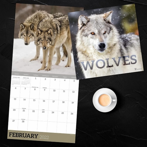 2022 Wolves Wall Calendar Perspective: top