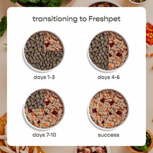 Freshpet Fresh From the Kitchen, Healthy & Natural Dog Food, Chicken Recipe Perspective: top