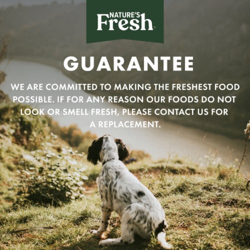 Freshpet Nature's Fresh Grass-Fed Beef & Brown Rice Recipe Dog Food Perspective: top