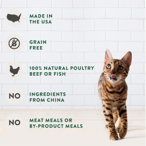 Freshpet Select with Salmon Grain Free Gourmet Pate with Salmon Cat Food Perspective: top
