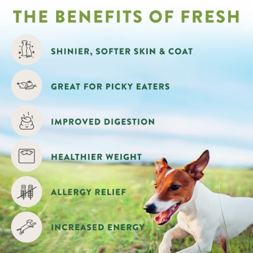 Freshpet Dog Treat, Dog Joy Slow Grilled Chicken Treat Perspective: top