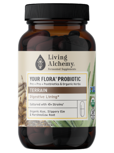 Living Alchemy Your Flora Probiotic Terrain Digestive Lining Supplement Perspective: top