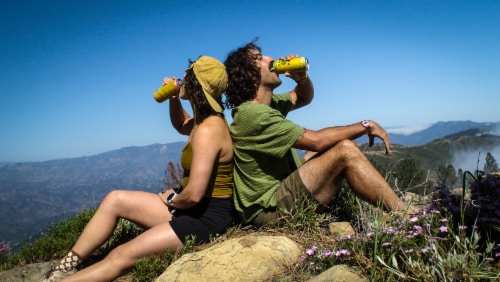 Guayaki Yerba Mate Organic Bravo Mango Energy Drink Perspective: top