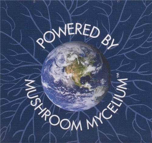 Host Defense Mushrooms My Comprehensive Immune Support Capsules Perspective: top