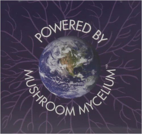 Host Defense® Mushrooms™ Mycobotanicals® Brain Perspective: top