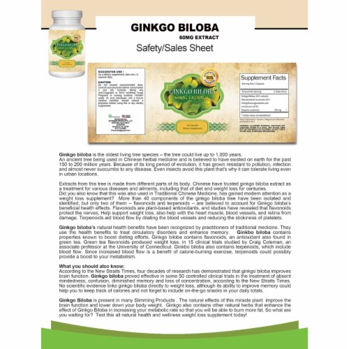 Ginkgo Biloba Brain Booster 60 Capsules Natural Memory Focus