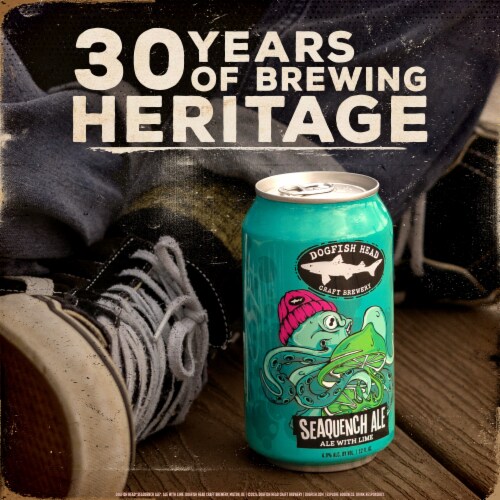 Dogfish Head SeaQuench Ale Session Sour Beer Perspective: top
