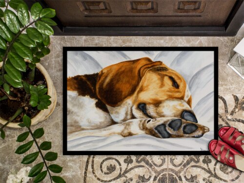 Carolines Treasures AMB1076MAT Beagle Bliss Doormat 18x27 18Hx27W