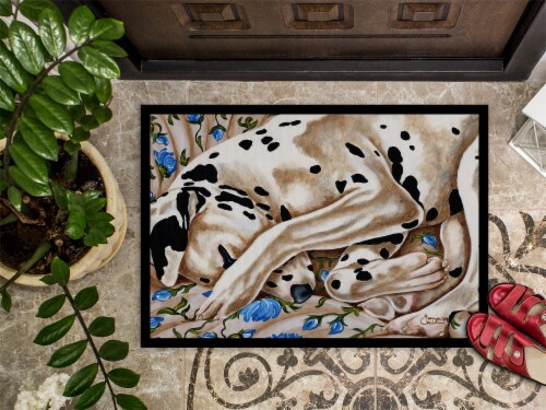 Carolines Treasures AMB1407MAT Bed of Roses Dalmatian Doormat 18x27 Perspective: top