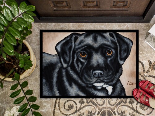 Black lab doormat outlet