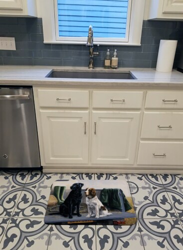 On The Tailgate Labrador and Springer Spaniel Machine Washable Memory Foam Mat Perspective: top