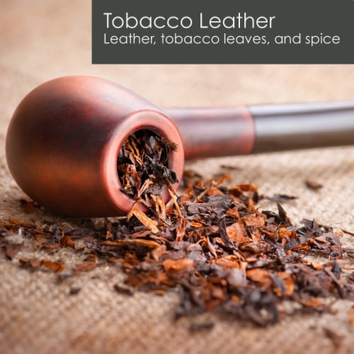 Tuscany Candle™ Homme & Heritage Collection Tobacco Leather Scented Jar Candle Perspective: top