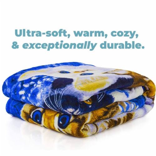 Dawhud Direct I Kitten Collage 50 x60 Fleece Blanket 50