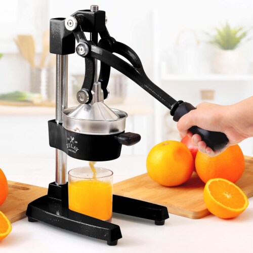 Heavy duty citrus juicer online