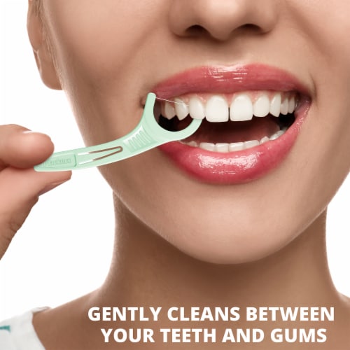Plackers™ Micro Mint Dental Flossers Value Size Perspective: top
