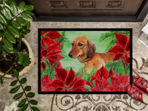 Carolines Treasures CK1300MAT Dachshund Poinsettas Doormat 18x27 Perspective: top