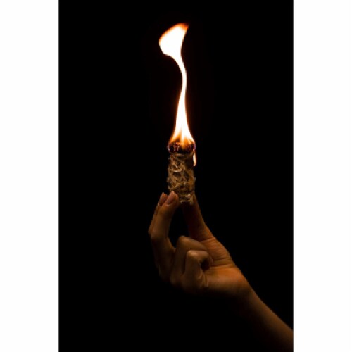 Firestarters 50 Pcs | Natural Fire Starters For Fireplace, Wood Stove, Campfires, Fire Perspective: top