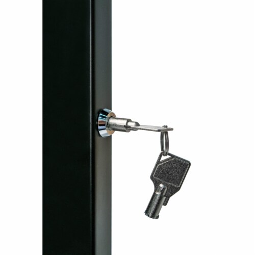 Premium Large Locking Wall Mount (Black) Perspective: top