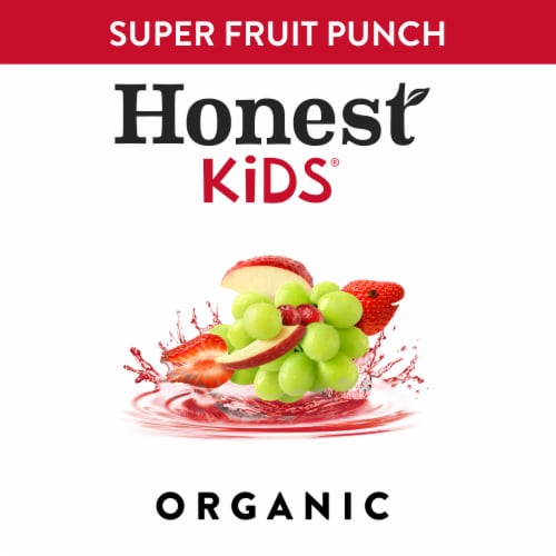 Honest Kids Super Fruit Punch Organic Fruit Juice Perspective: top