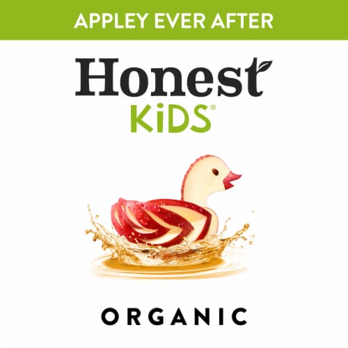 Honest Kids Appley Ever After Organic Apple Fruit Juice Perspective: top