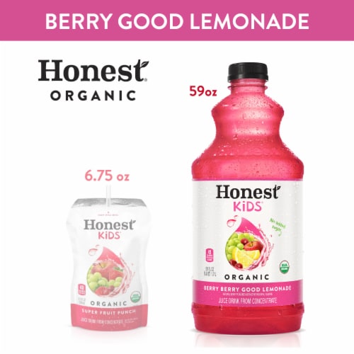 Honest Kids Berry Berry Good Lemonade Organic Fruit Juice Drink Perspective: top
