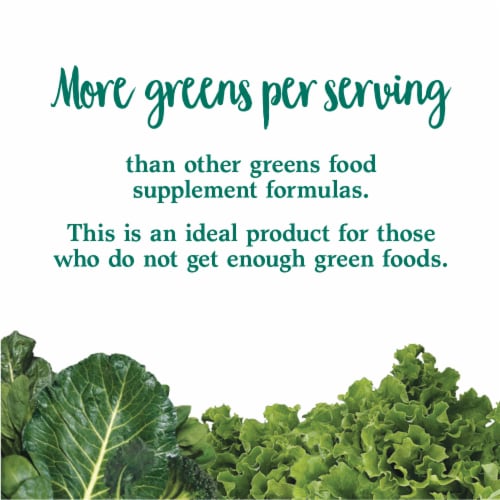 Garden of Life Perfect Food Super Greens, Superfoods, Alfalfa, Wheat Grass, Probiotics Powder Perspective: top