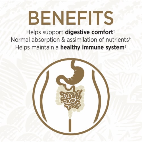 Garden of Life Primal Defense Ultra Probiotics, Normal Bowel Function, Capsules, 15 Billion CFU Perspective: top