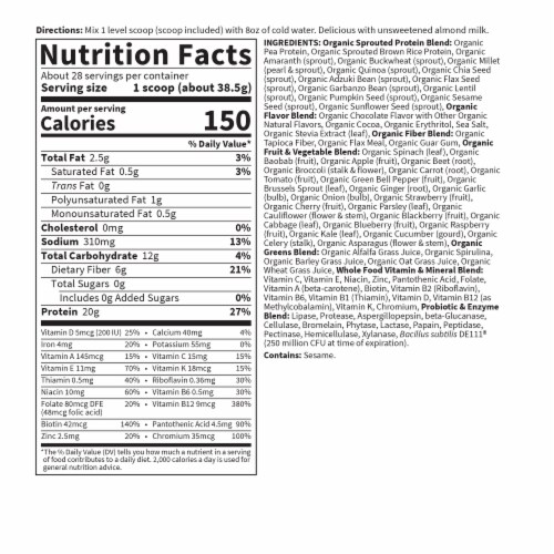 Garden of Life Raw Organic Meal Replacement All-in-One Shake 20g Vegan Protein Chocolate Powder Perspective: top