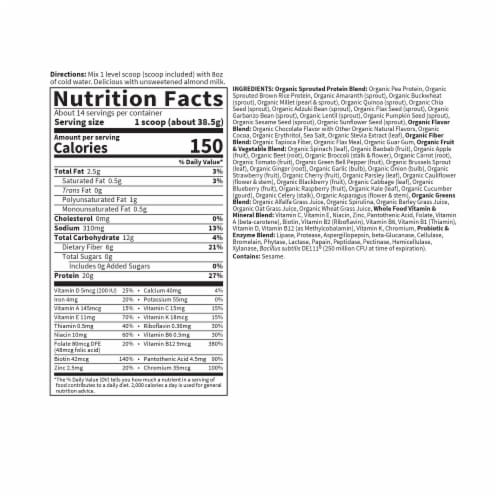 Garden of Life Raw Organic Meal Replacement All-in-One Shake 20g Vegan Protein Chocolate Powder Perspective: top