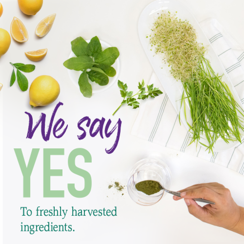 Garden of Life® Raw Organic Perfect Food® Alkalizer & Detoxifier Dietary Lemon & Ginger Supplement Perspective: top