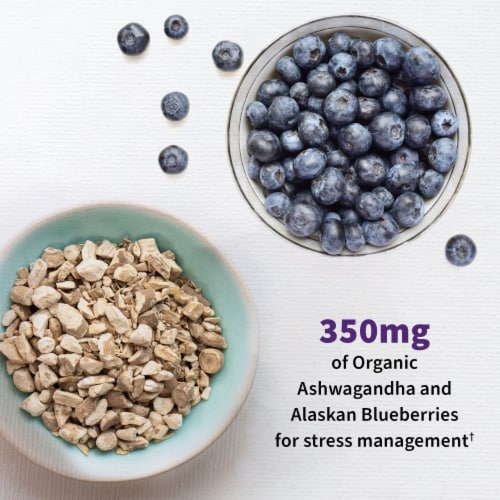Garden of Life Dr. Formulated Mood+ Probiotics, Emotional Well-being & Relaxation, Capsules Perspective: top