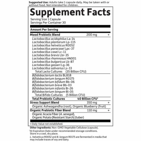 Garden of Life Dr. Formulated Mood Daily Care 40 Billion CFU Probiotic Capsules Perspective: top