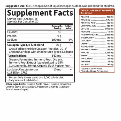 Garden of Life Multi-Sourced Collagen Turmeric, Joints & Mobility, Apple Cinnamon Flavor Powder Perspective: top