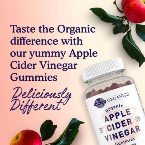 Garden of Life Organics Apple Cider Vinegar Vegan Gummies Original Perspective: top