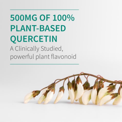 Garden of Life Dr. Formulated Quercetin Immune, Respiratory, Skin Health, Tablets, 500 mg Perspective: top