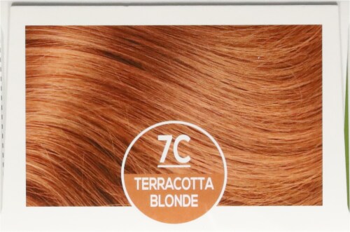 Naturtint Terracotta Blonde Hair Color Perspective: top