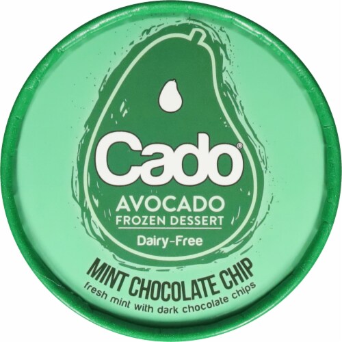 Cado Dairy Free Mint Chocolate Chip Frozen Dessert Pint Perspective: top