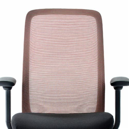 Eurotech Vera Mesh Back Ergonomic Chair