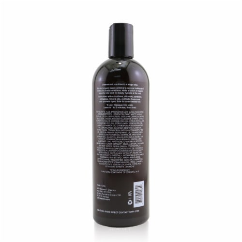 John Masters Organics 2in1 Shampoo & Conditioner For Dry Scalp with Zinc & Sage 473ml/16oz Perspective: top