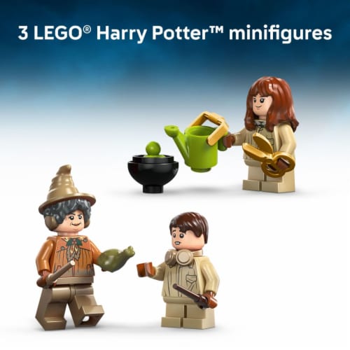 LEGO Harry Potter Hogwarts Castle: Herbology Class 76445 Perspective: top