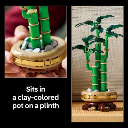 LEGO Botanicals Lucky Bamboo Building Set for Adults 10344 Perspective: top