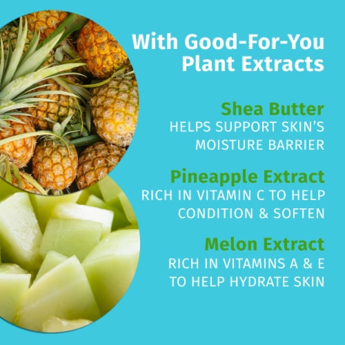 Hempz Sweet Pineapple & Honey Melon Herbal Body Moisturizer Perspective: top