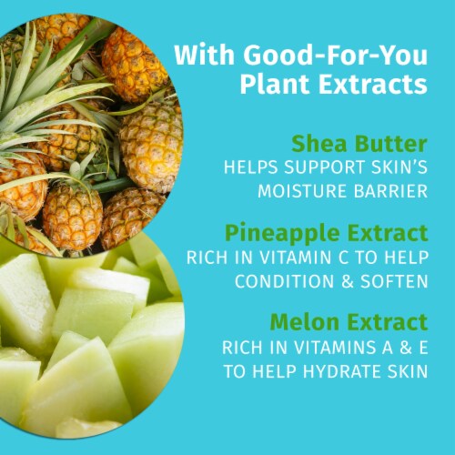 Hempz Sweet Pineapple & Honey Melon Herbal Body Moisturizer Perspective: top