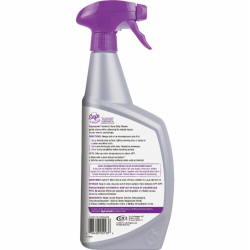 Rejuvenate 32 Oz. Granite & Stone Daily Cleaner RJ32GSCL Perspective: top