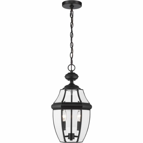 Z-Lite Westover 2 Light Clear Glass Brass Outdoor Chain Mounted Pendant in Black Perspective: top