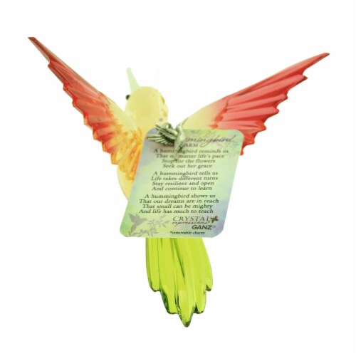 Crystal Expressions Hummingbird With Charm Acrylic Hover Ornament Acry742 Pink Perspective: top