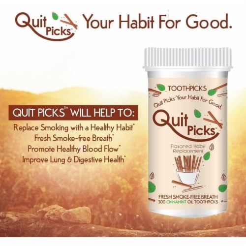 Quit Picks Cinnamint Toothpicks 300Ct Fresh Breath Quit Smoking Aid Perspective: top